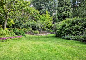 Optimiser l'expérience du jardin à La Trinite-Porhoet